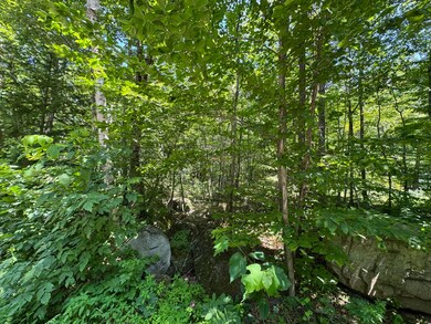 Lot 19 Thomas Pond Shore Rd, Casco, ME 04015 - photo 6