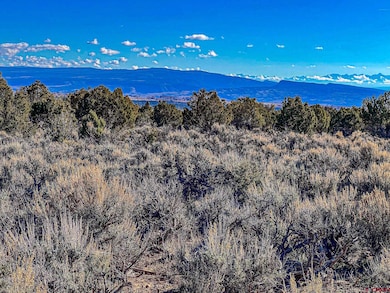 15369 2525 Rd, Cedaredge, CO 81413 - photo 5