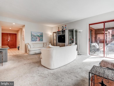 Annen Woods Condominiums unit 107, Pikesville, MD 21208 - photo 7