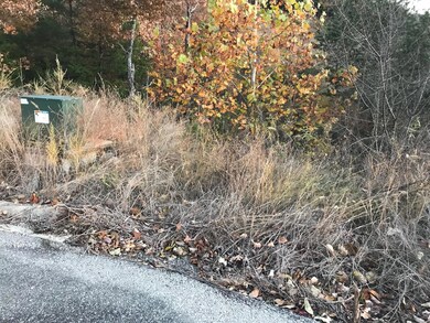 2A2C46EE-E454-4024-A69F-FA6D7D1C701E