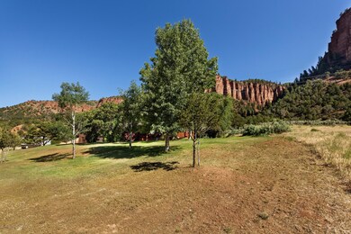 4847 Frying Pan Rd Basalt CO-print-016-1