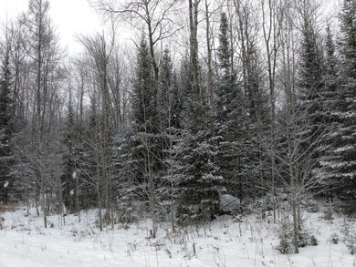 Lot 13 Sanctuary Rd, Tomahawk, WI 54487 - photo 7