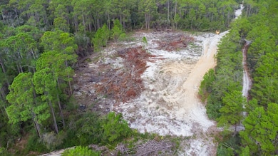 802 NE 13th St, Carrabelle, FL 32322 - photo 6