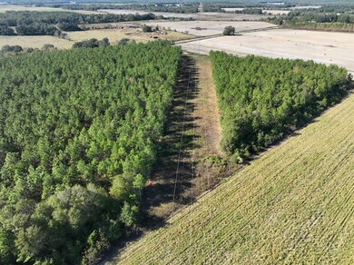 2716 Fryer Rd, Blakely, GA 39823 - photo 5