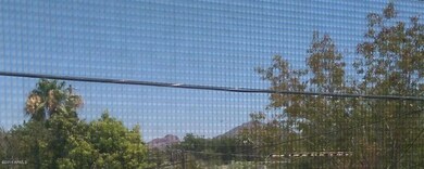 Mtn View from Master BR