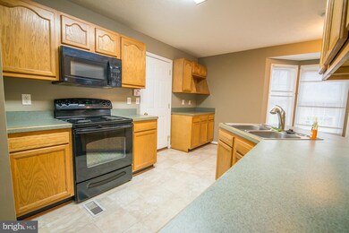 379 Leviticus Dr, Bunker Hill, WV 25413 - photo 5