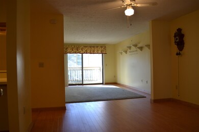 19 Saco St unit 20, Center Conway, NH 03813 - photo 3