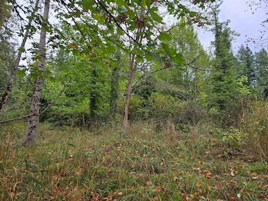 12628 208th Place NE, Union Hill-Novelty Hill, WA 98077 - photo 3