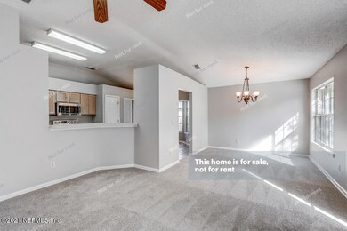 5144 Big Forest Ln, Jacksonville, FL 32210 - photo 6