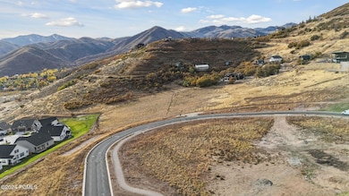 1636 N Cambridge Dr, Midway_Drone003