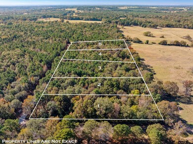 Lot 8 Creek Bend Trail, Troup, TX 75789 - photo 6