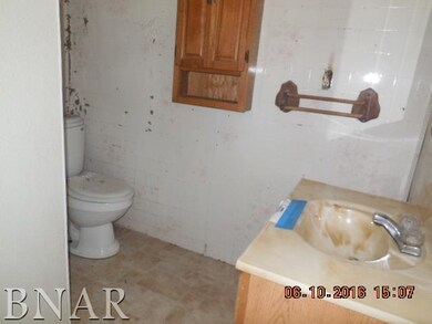 317 W Owsley St, Chenoa, IL 61726 - photo 4