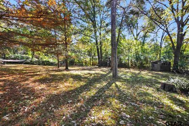 1025 Pollard Dr, Tyler, TX 75701 - photo 6