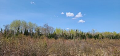 62 Overlook Dr