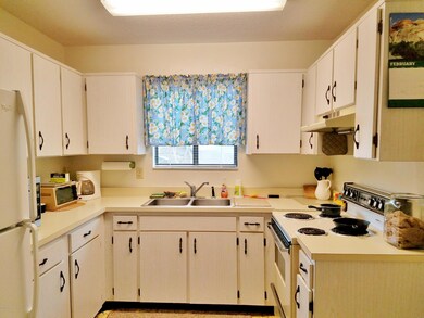 U shaped kitchen