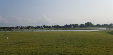 3810 Upper Lake Cir, Granbury, TX 76049 - photo 3