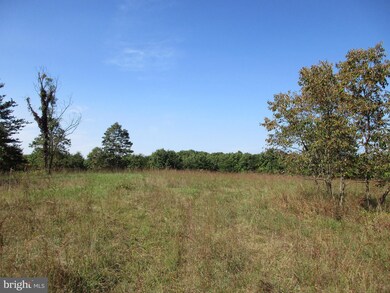 0 Lodge Ln unit 1001017143, Berkeley Springs, WV 25411 - photo 4