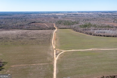 10544 Georgia 17, Wadley, GA 30477 - photo 7