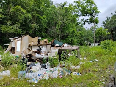 3949 Cold Stream Rd, Capon Bridge, WV 26711 - photo 5