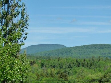 15 #4 Prospect St, Hunter, NY 12485 - photo 2