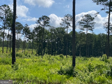 709 Giles Rd, Forsyth, GA 31029 - photo 3