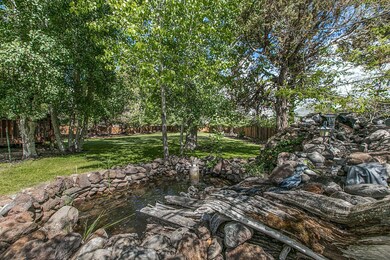 back pond and yard