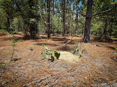 0 Beaver Dam Rd unit 25031385, Cassatt, SC 29032 - photo 7