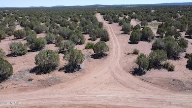 2795 Poppy Rd, Ash Fork, AZ 86320 - photo 4