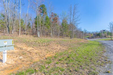 1755 River Bluffs Dr, Jasper, TN 37347 - photo 4