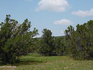 DSCN0024