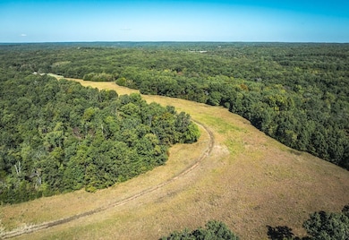 5225 Engledow Rd, de Soto, MO 63020 - photo 6