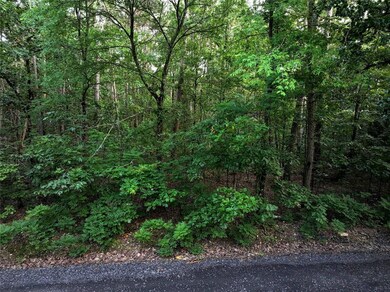 0 Pilotfish Rd, Broken Bow, OK 74728 - photo 4