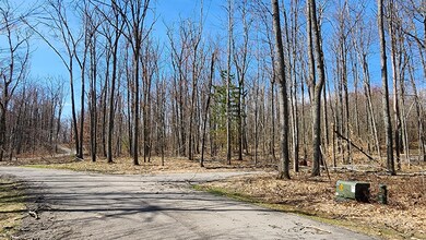 Area of 522 Red pine court property