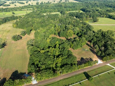 0 Cane Creek Rd unit 25620593, Flora, MS 39071 - photo 4