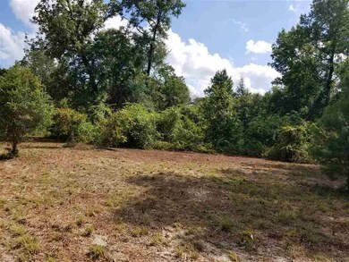 650 Whiddon Lake Rd, Crawfordville, FL 32327 - photo 7