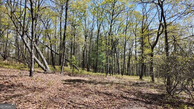 LOT 20 Heyden Ridge Dr, Clarkesville, GA 30523 - photo 7