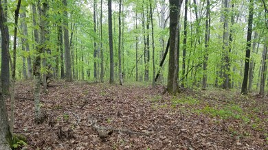 0 Highway 232 unit 2142465, Stewart, TN 37175 - photo 6