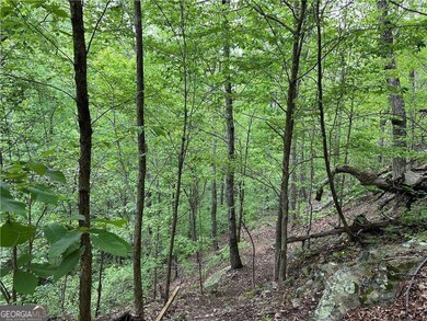 0 Paris Mountain Rd unit 10295245, Rockmart, GA 30153 - photo 5