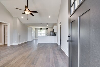 216 Graham Way, Shelbyville, TN 37160 - photo 4