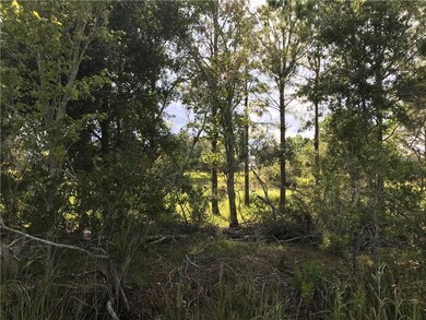 10435 COUNTY ROAD 39, DUETTE, FL 34219