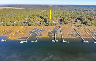 1484 Dupree Creek Ln, Mount Pleasant, SC 29429 - photo 2