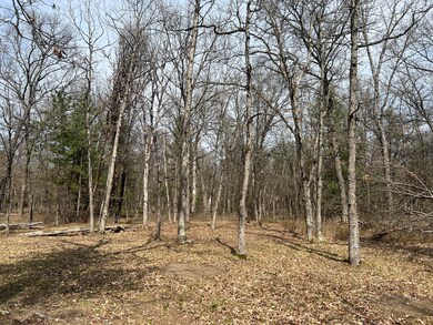 4440 W 8th St, Baldwin, MI 49304 - photo 4