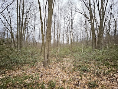 Illinois Ln Tract (11)