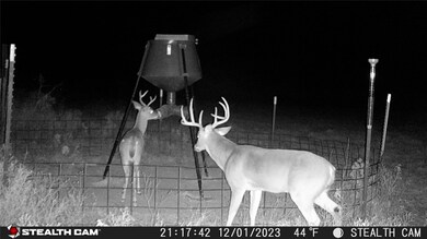 10500 Cr 131, Brownwood, TX 76801 - photo 6