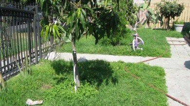 Front yard