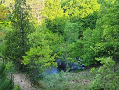 Wooded lot on Bear Creek