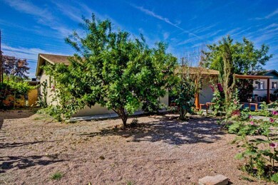 Front yard