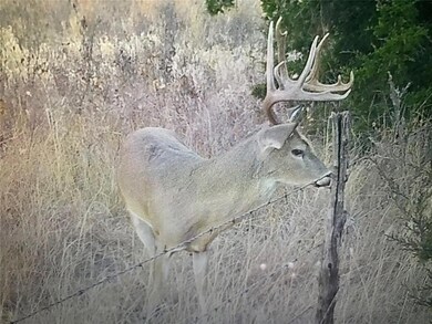 17257 E 800 Rd, Durham, OK 73642 - photo 5