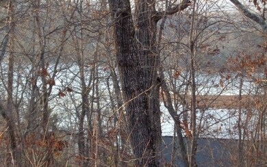 Additional View