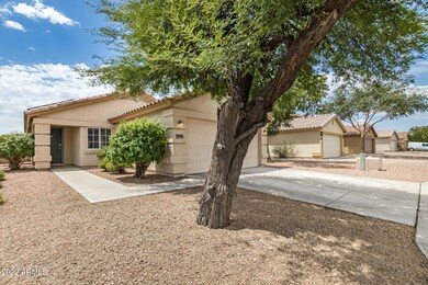 06 - Frontyard